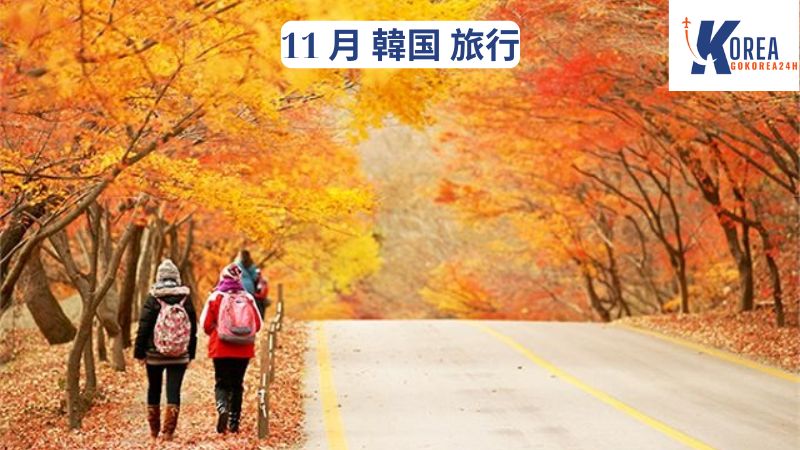 11 月 韓国 旅行