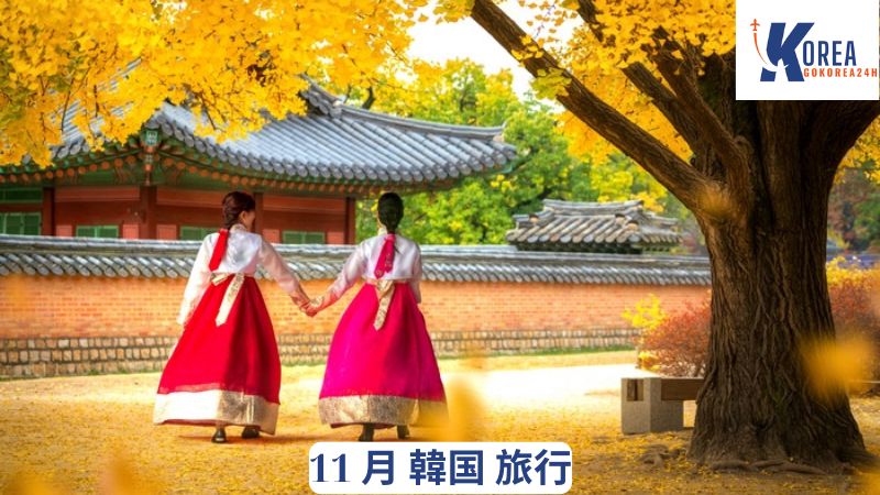 11 月 韓国 旅行