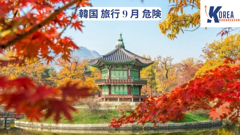 韓国 旅行 9 月 危険